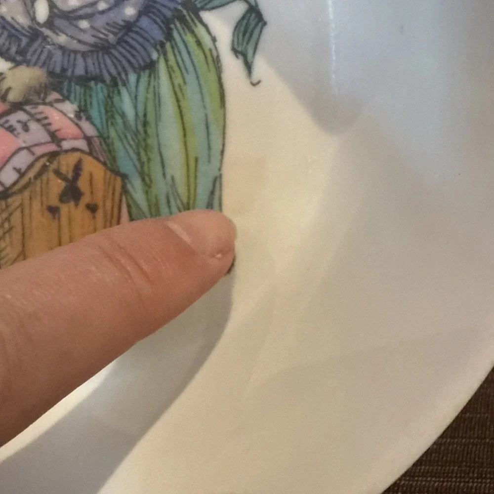Vtg Oneida Deluxe 3243 Toddler Plastic Cereal Bowl Peter‎ Rabbit 6.5